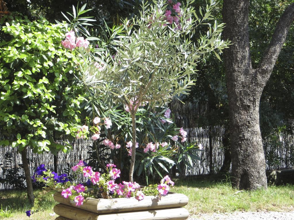 Appartement Dans Villa St Raphael Saint-Raphaël Pokoj fotografie
