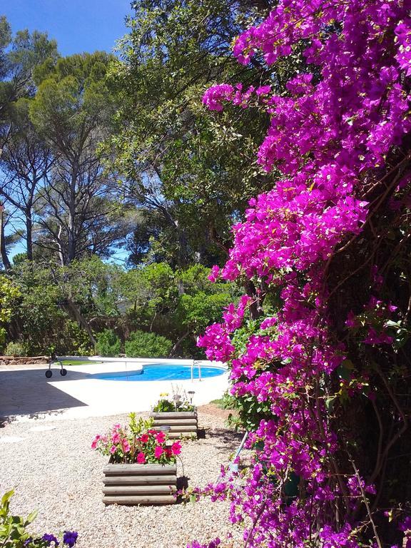 Appartement Dans Villa St Raphael Saint-Raphaël Exteriér fotografie